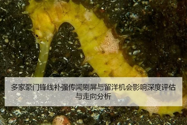 duo-jia-hao-men-feng-xian-bu-qiang-chuan-wen-shua-ping-yu-liu-yang-ji-hui-ying-xiang-shen-du-ping-gu-yu-zou-xiang-fen-xi-1-493.jpg